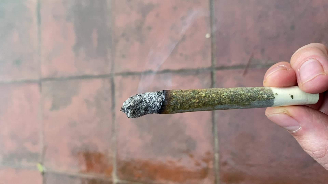 Does White Ash Actually Matter?