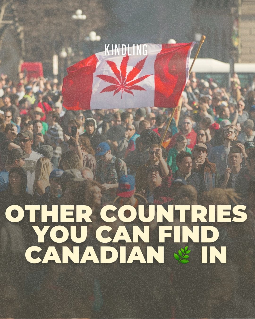 Other Countries You Can Find Canadian Cannabis In