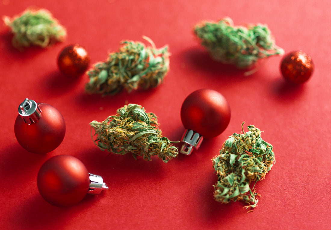 Top 5 Strains for Holiday Party Season