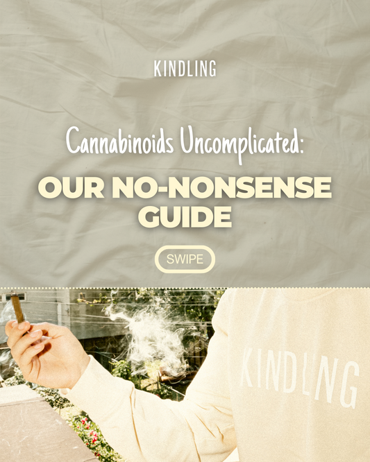 Cannabinoids Uncomplicated: Our No-Nonsense Guide