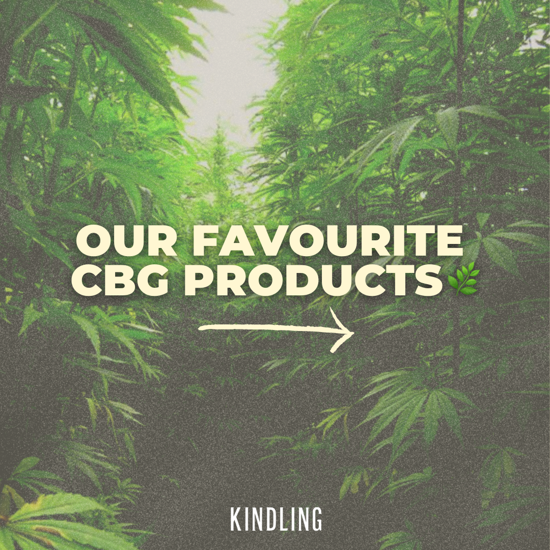 Exploring the Best CBG Products for a Unique Cannabis Experience