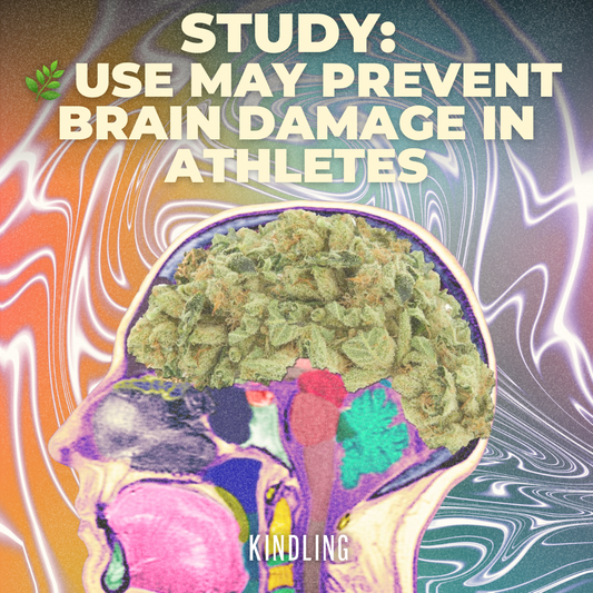 Can Cannabis Prevent Brain Damage in Athletes?
