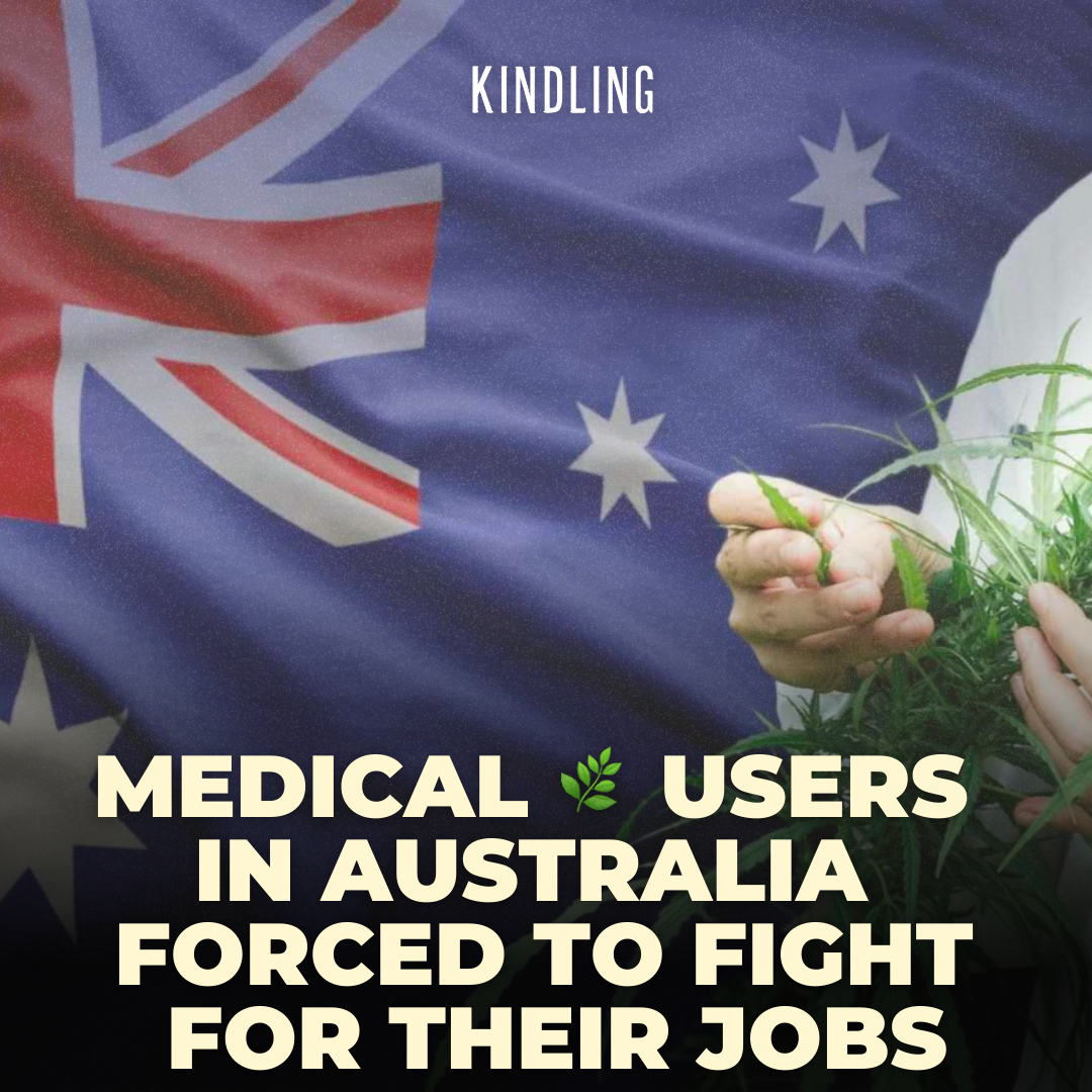 Medical Cannabis in Australia: A Fight for Workplace Acceptance