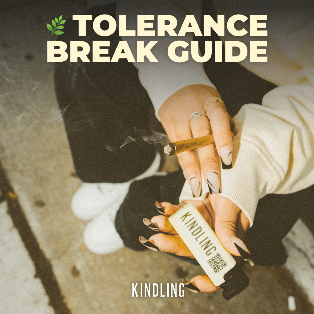 High Times to Clear Minds: Your Guide to Taking a Tolerance Break