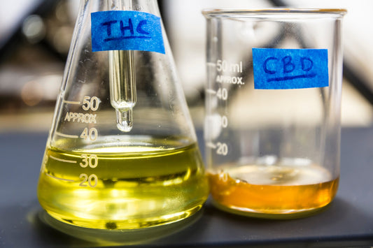 THC and CBD—What’s The Difference?