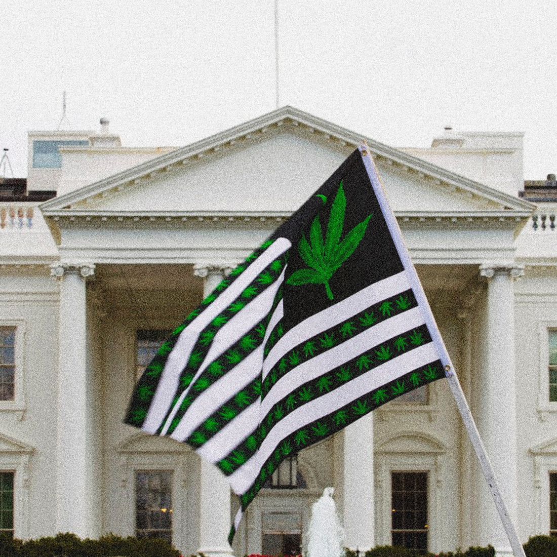 The Ongoing Highs & Lows of Weed Legalization in USA