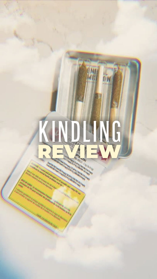 Graphic of Kindling's review of General Admission's Taster Pack