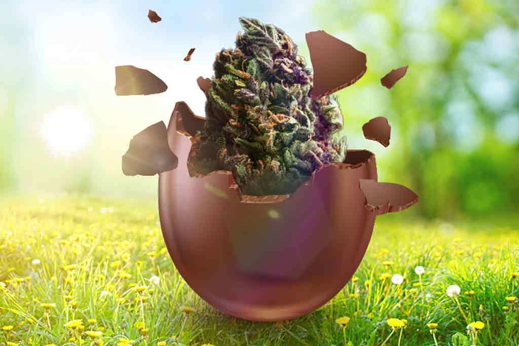 Cannabis-Infused Chocolate Egg Shells: The Ultimate Easter Surprise!