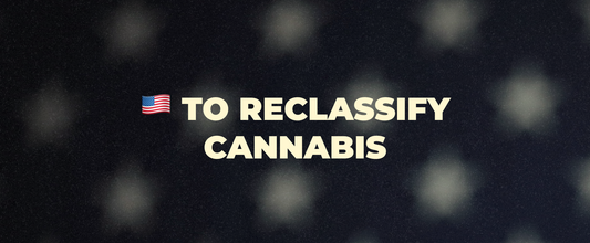 Kindling Cannabis News: is the US closer to legalising marijuana
