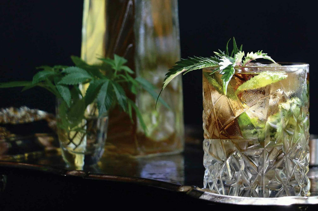Thai Basil & Lime Cannabis-Infused Mocktail
