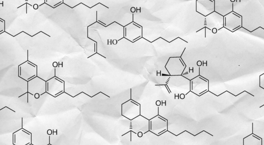 Cannabinoids Explained