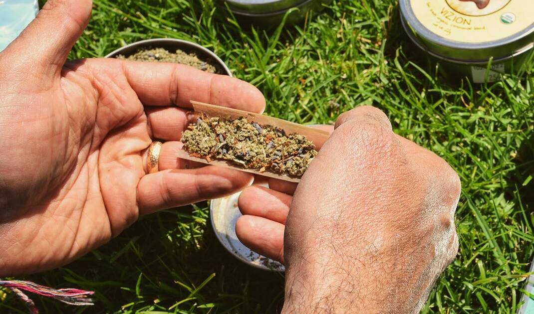 Plant Cocktail: Herbs & Cannabis