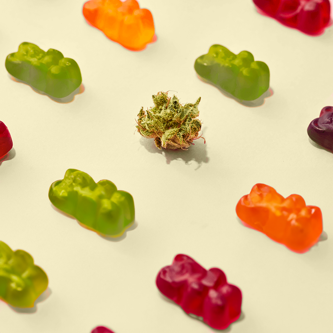 Elevate Your Edibles: The Magic of Full-Spectrum Marijuana Treats