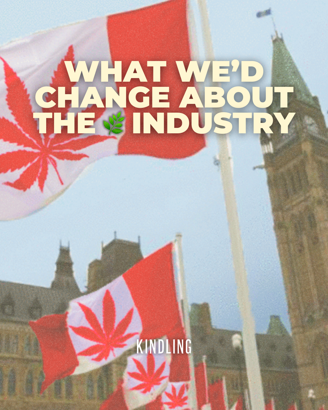 Things We’d Change About the Canadian Cannabis Industry