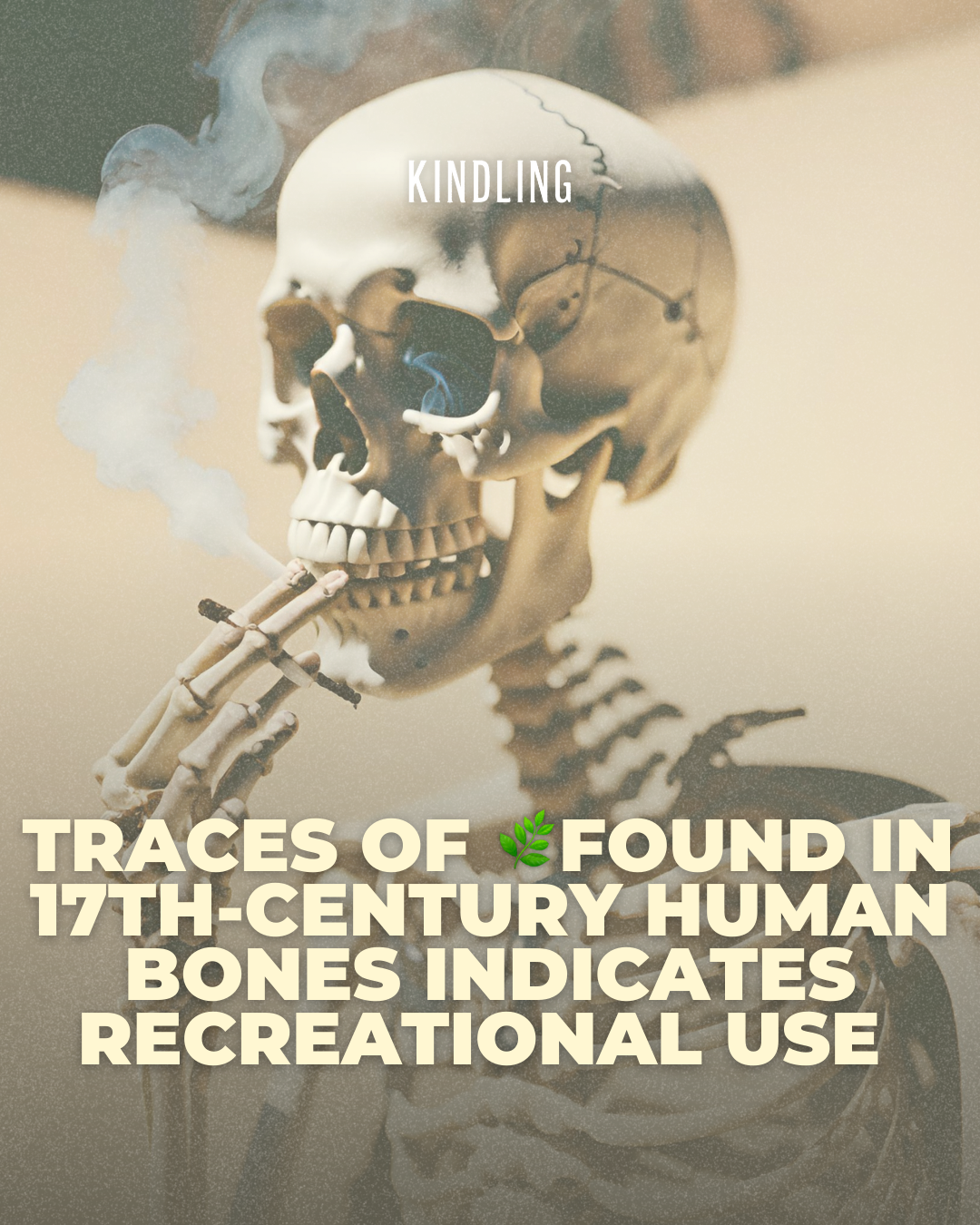 Cannabis Residue in 17th-Century Human Bones Indicates Recreational Use Among Italians