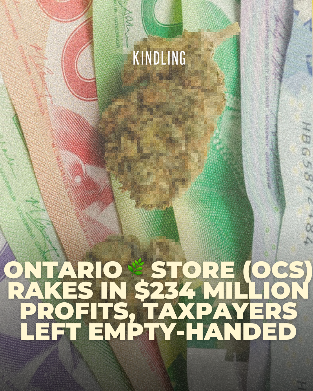 Ontario Cannabis Store Rakes in $234 Million Profits: Taxpayers Left Empty-Handed