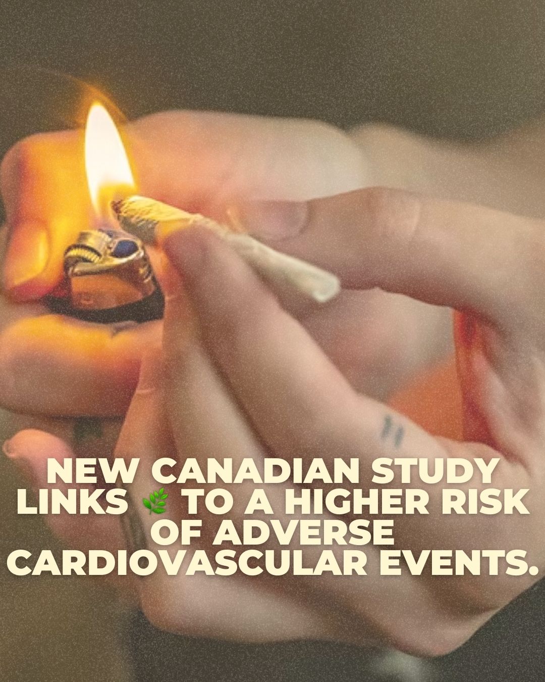 New Canadian Study Links Cannabis Disorder to a Higher Risk of Adverse Cardiovascular Events.