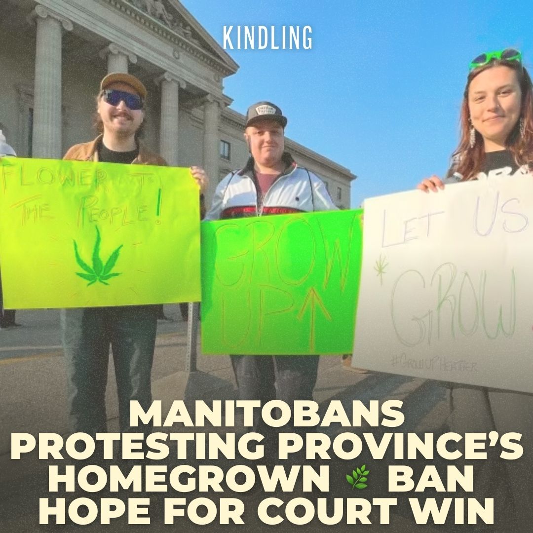 MANITOBANS PROTESTING PROVINCE’S HOMEGROWN CANNABIS BAN HOPE FOR COURT WIN