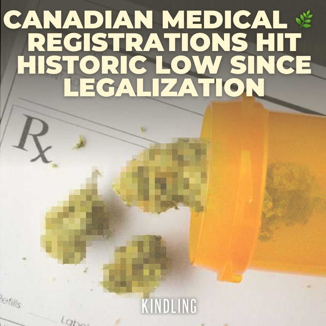 Canadian Medical Cannabis  Registrations Hit Historic Low Since Legalization