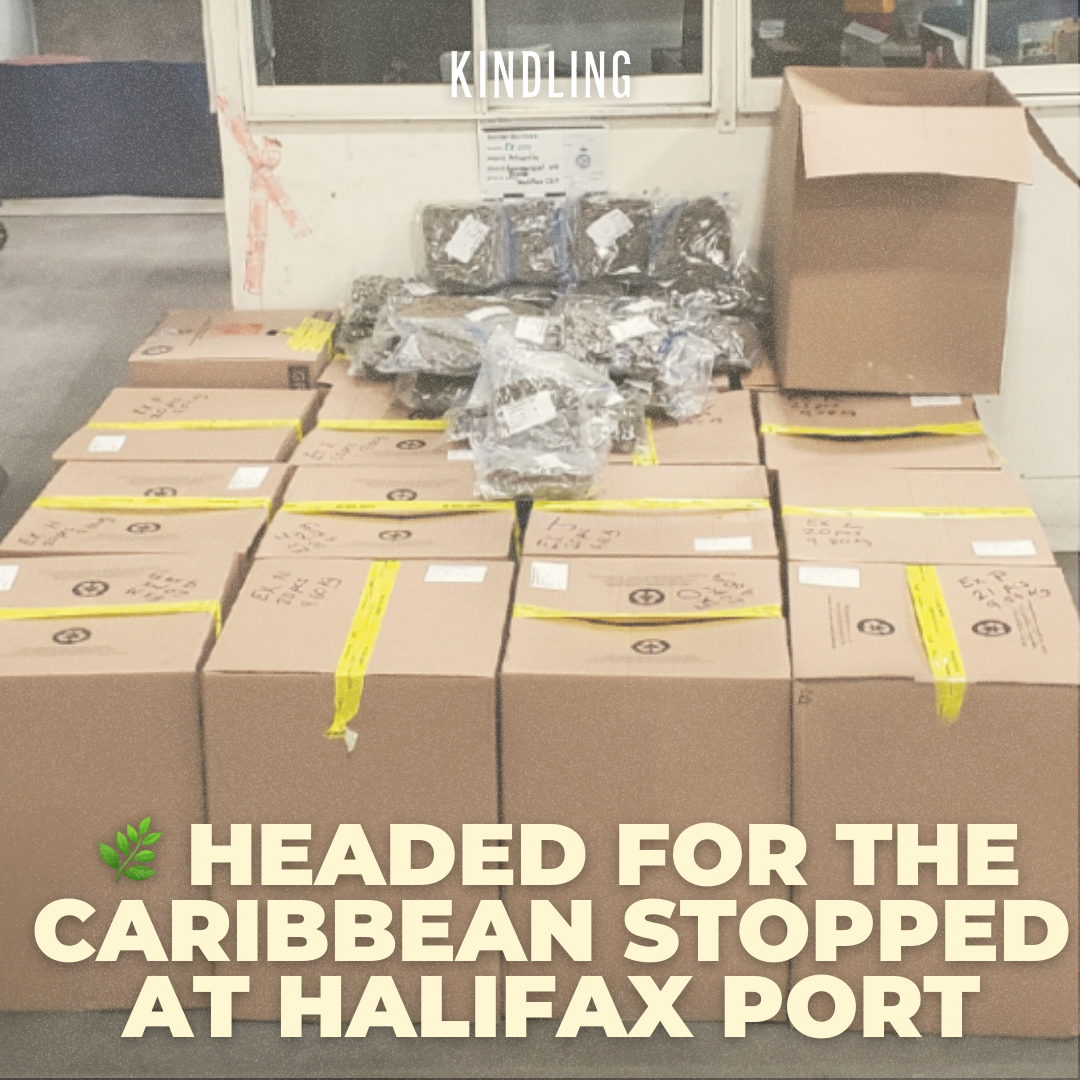 CANNABIS HEADED FOR CARIBBEAN STOPPED AT HALIFAX PORT
