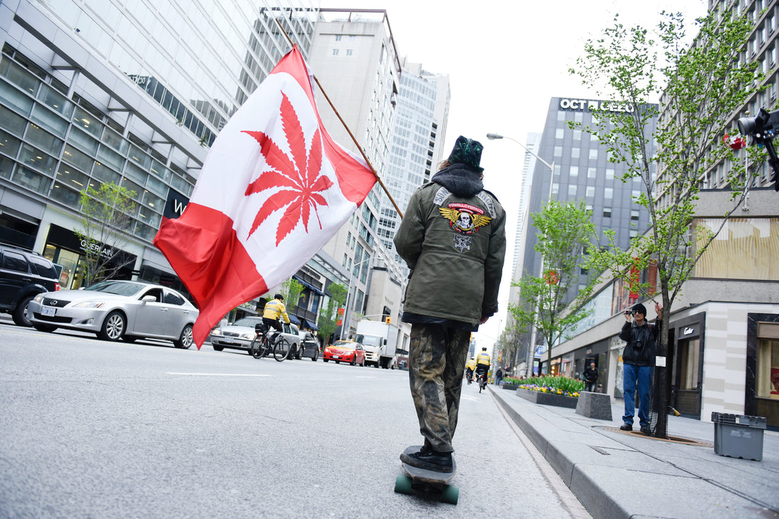 Toronto man carrying canada cannabis flag