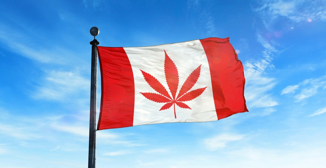 Elevate Your Canada Day Celebration: Top Cannabis Picks for the Occasion