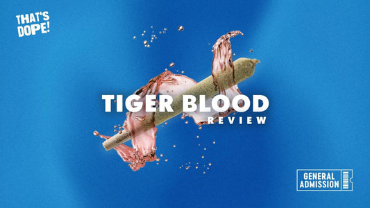 That's Dope: General Admissions Tiger Blood Infused Pre-Roll Review