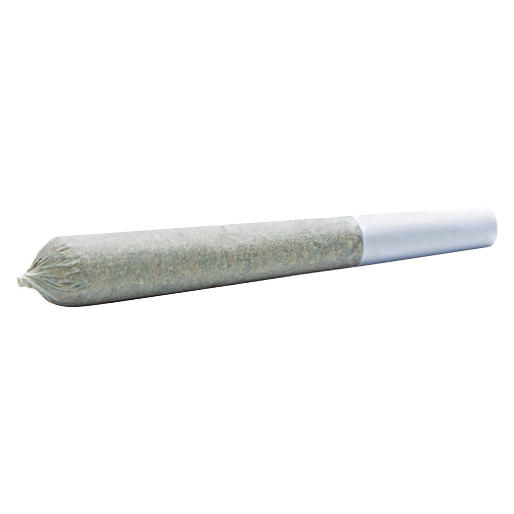 Wildlife Cannabis Co. - Golden Banana 1:1 Balanced Pre-Roll