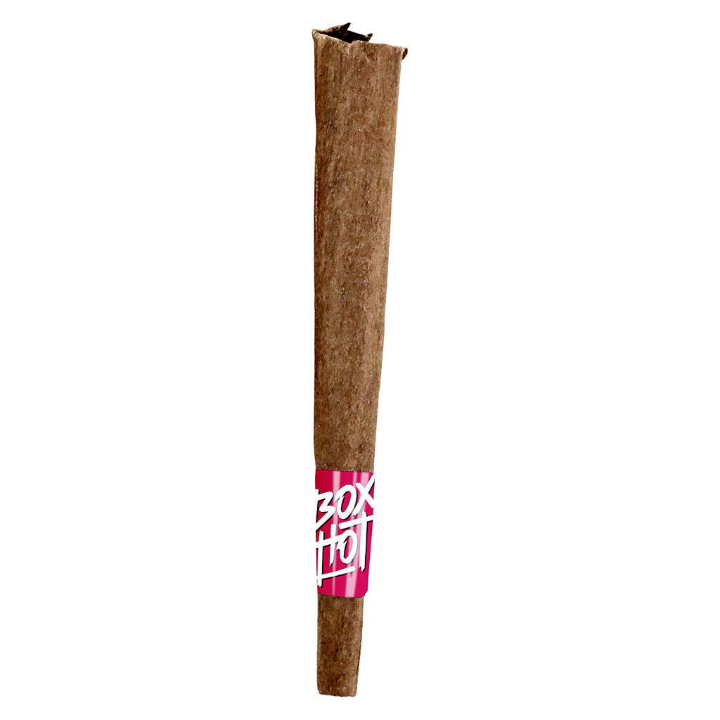 BOXHOT - Fatties - Dragon's Breath Infused Blunt