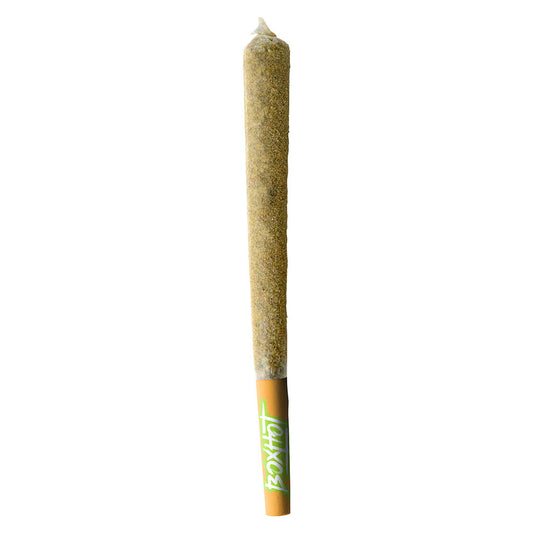 BOXHOT - Dusties XL Retro Orange Blast Kief-Coated Infused Pre-Roll