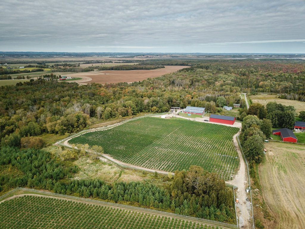 The Divvy outdoor farm located in Port Perry, Ontario