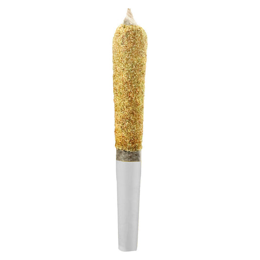 Boxhot - Dusties - Rocket Fuel Kief Coated Infused Pre-Roll