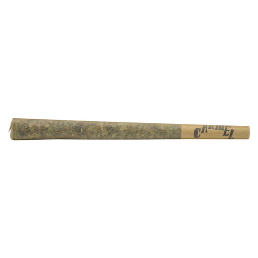 Carmel - Flamingo Solventless Infused Pre-Roll