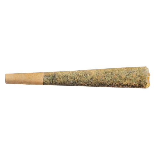 Single Fuego Night Rider Indica Pre-Roll