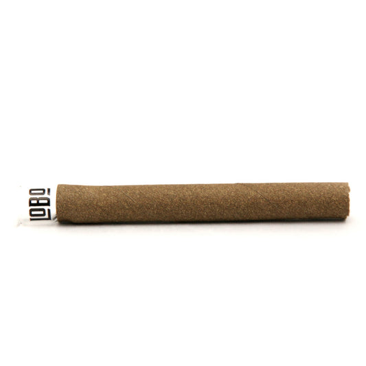 LOBO - Presidente Blunt