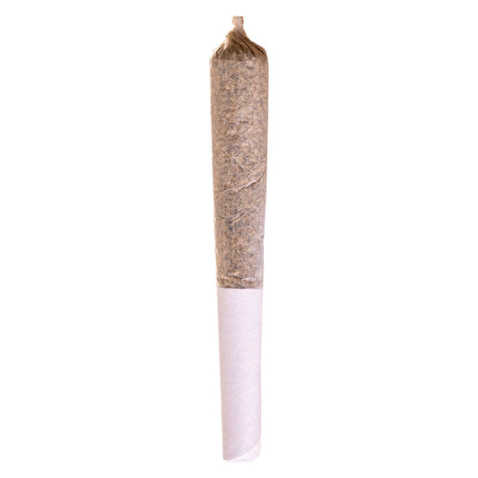 Station House - Blue Dream Express Infused Pre-Roll
