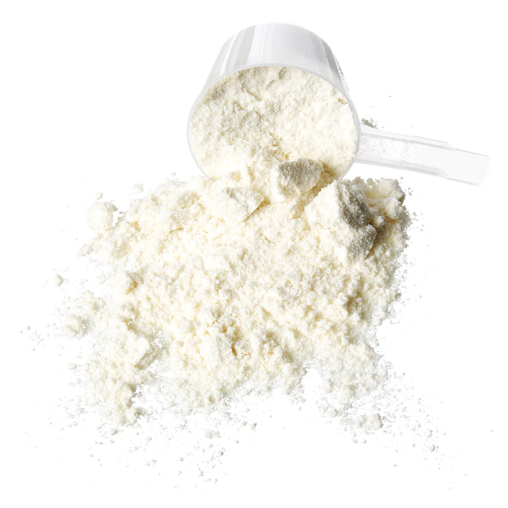 X&O - Vanilla Cream CBD Whey Protein Isolate