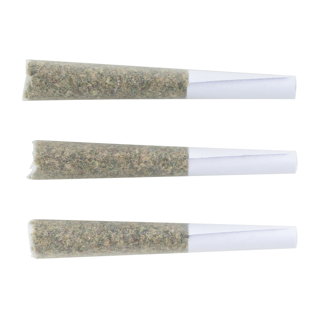 THE LOUD PLUG - Infused Pre-Roll