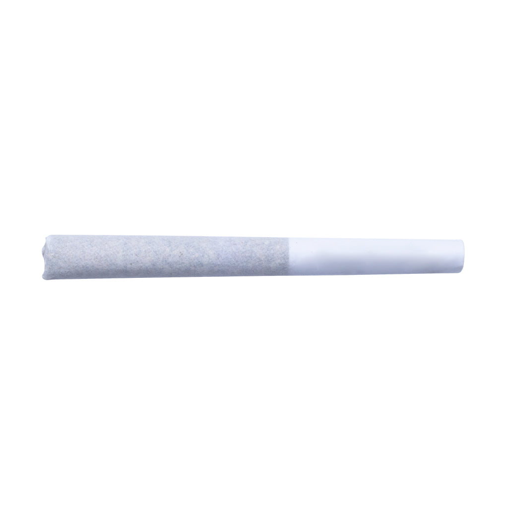 Flowr - BC Spiced Grape Dogwalkers Pre-Roll