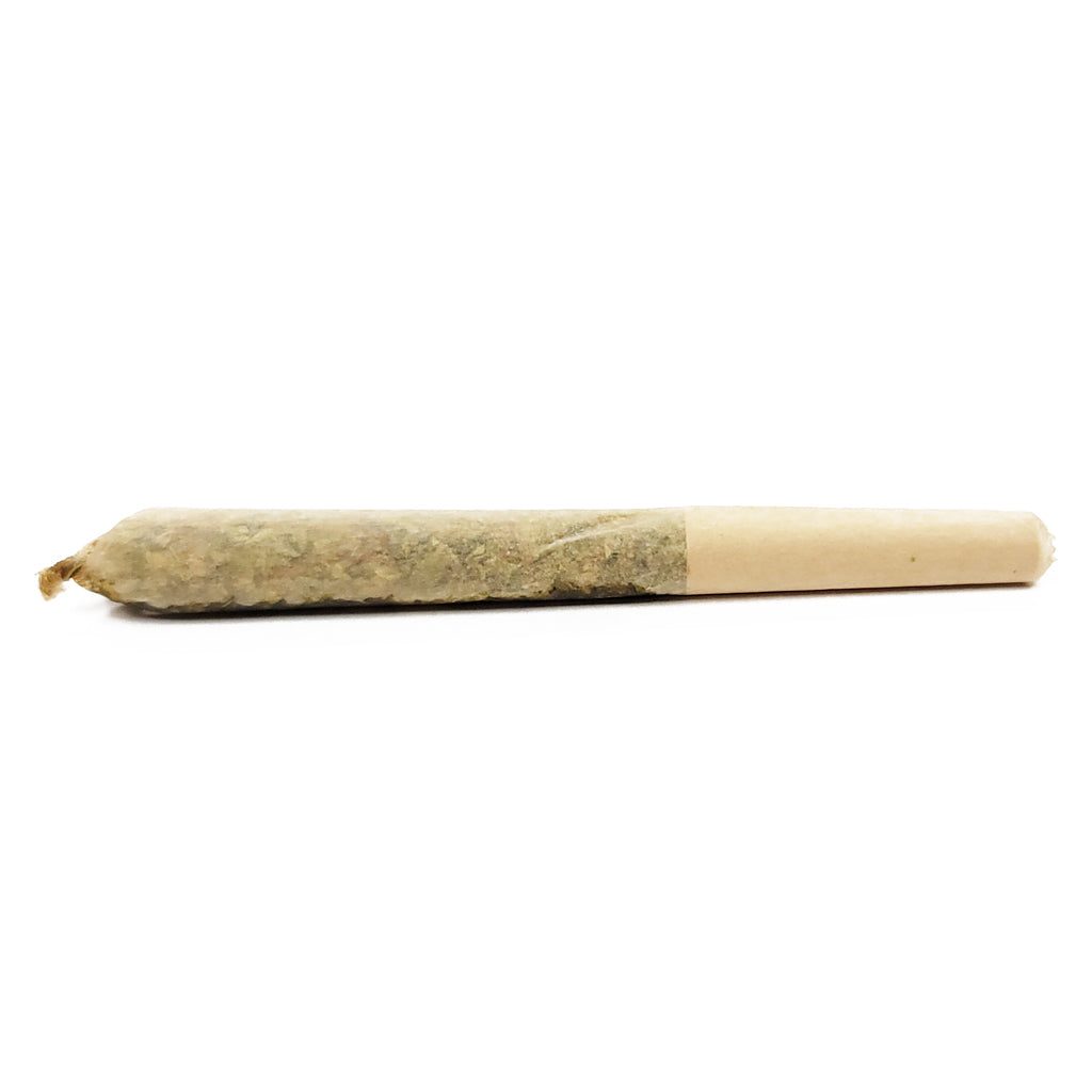 DAB Bods - Resin-Infused Pre-Rolls