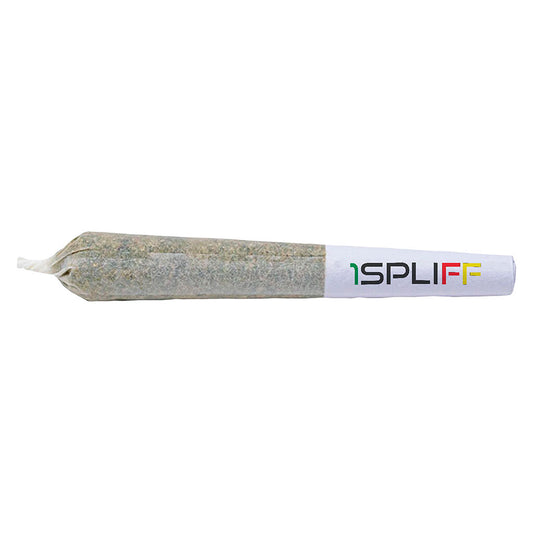 1Spliff - Orange Rntz Pre-Roll