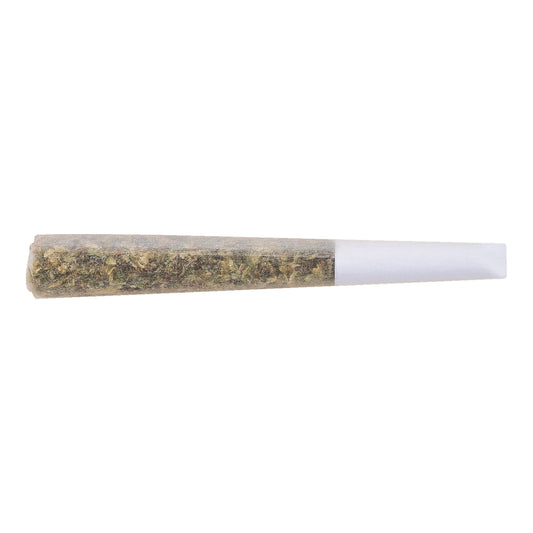 The Loud Plug - Exotic Gas Pre-Roll
