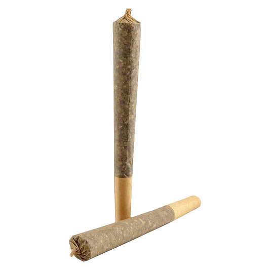 Organnicraft - Axess Pre-Roll