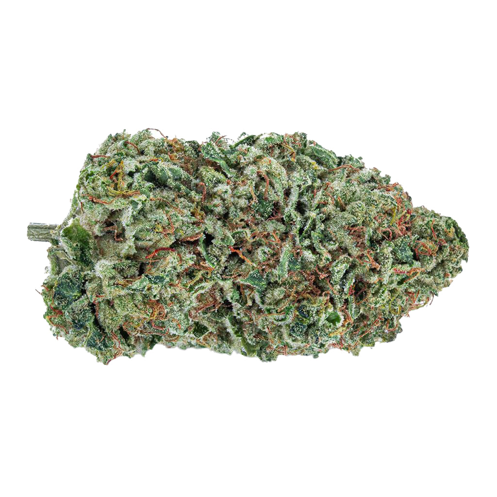 The Green Organic Dutchman - Organic Maple Kush