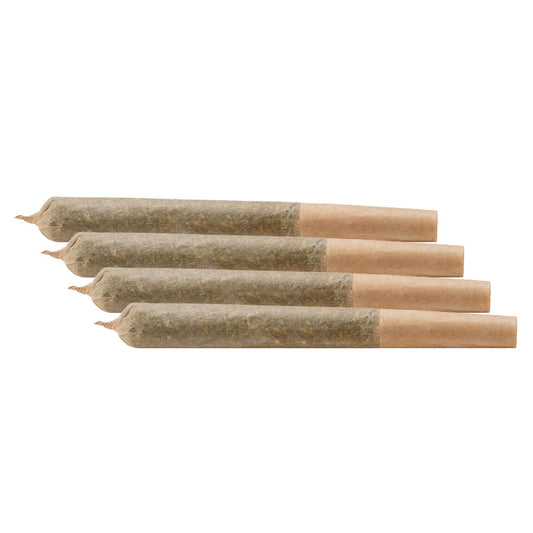 - - Discovery Pack Pre-Roll
