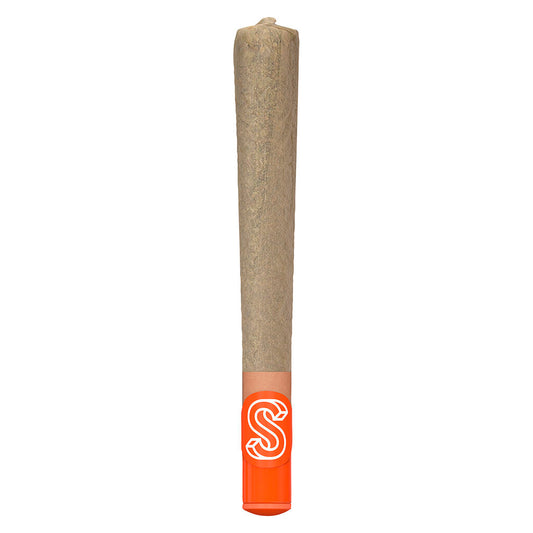 Sherbinskis - The New New Pre-Roll